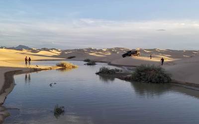 Oasis En Las Dunas De Samalayuca Noticias Locales Policiacas Sobre Mexico Y El Mundo El Heraldo De Juarez Chihuahua