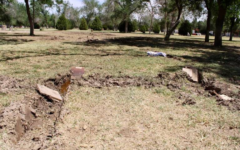 Enseñan a la ciudadanía a que árboles plantar en Ciudad Juárez - El Heraldo  de Juárez | Noticias Locales, Policiacas, sobre México, Chiahuahua y el  Mundo