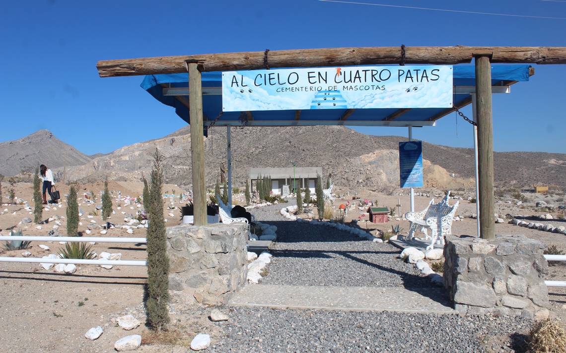 Mascotas descansan en “Al Cielo en Cuatro Patas” noticias de ciudad juarez  - El Heraldo de Juárez | Noticias Locales, Policiacas, sobre México,  Chiahuahua y el Mundo