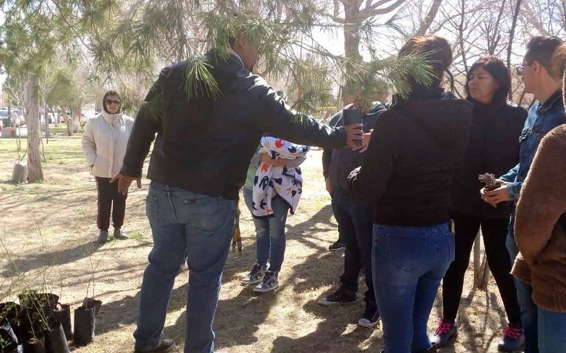 Hacen donativo de entrega de 50 árboles para reforestar - El Heraldo de  Juárez | Noticias Locales, Policiacas, sobre México, Chiahuahua y el Mundo