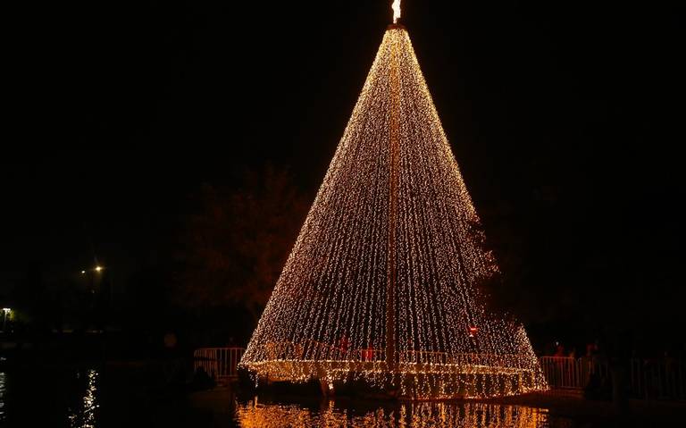 Encienden árbol de Navidad en el Parque Central - El Heraldo de Juárez |  Noticias Locales, Policiacas, sobre México, Chiahuahua y el Mundo